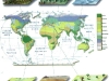 o_biomas busca biomas en google